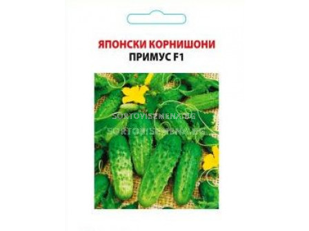 Семена корнишони Примус - gherkins Prymus
