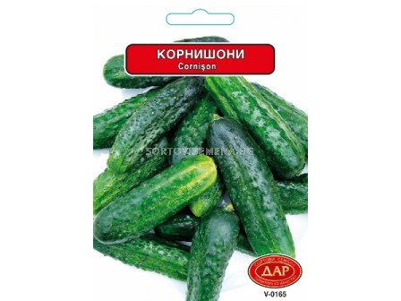 Сорт корнишони Левина. Аграра ООД. Сортови семена Варна.