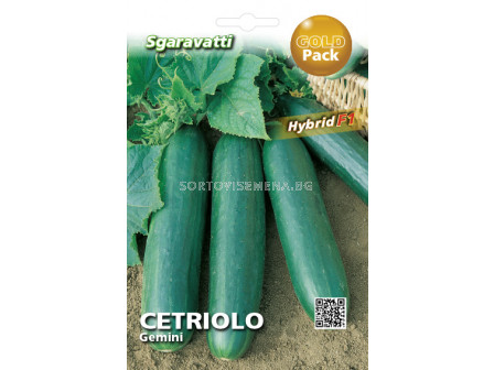Семена краставици Gemini`SG - cucumbers Gemini`SG