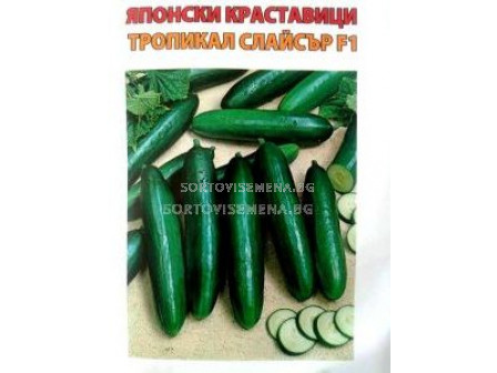 Семена краставици Тропикал Слайсър - cucumber Tropical slicer F1