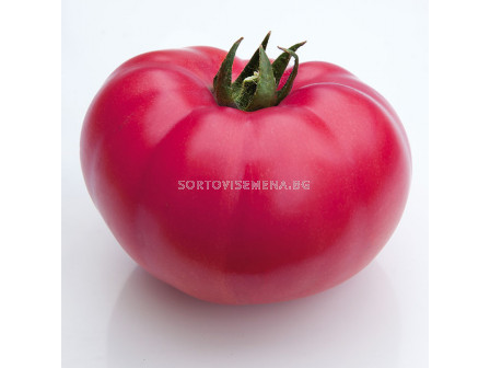 Семена домати KS 3811 F1 - 100 семена