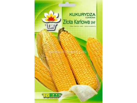 Семена Сладка царевица Zlota Karlowa SNF
