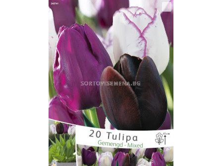 Лалета (Tulips) Gemengd - Mixed (20 луковици) 