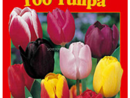 Лалета класически микс 50 бр - Classical mix of tulips 50 pcs