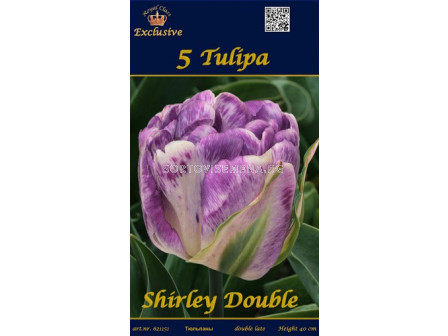 Лалета (Tulips) Shirley Double (5 луковици)