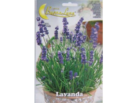 Семена Лавандула (Lavender) BL