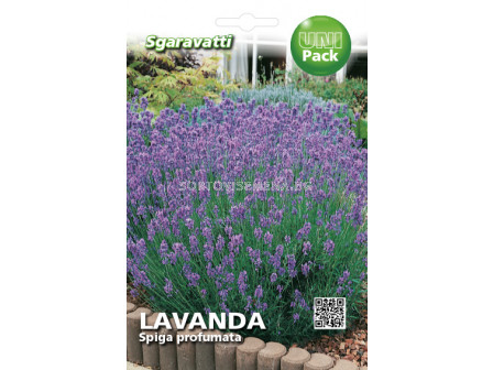 Семена Лавандула (Lavender)`SG