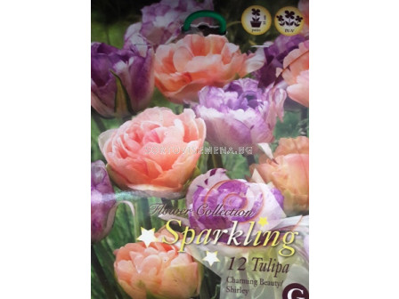Лалета (Tulips) Sparkling Mix Charming Beauty & Shirley 