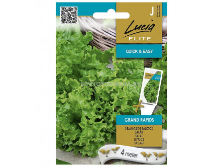 СК СЕМЕНА САЛАТА ГРАНД РАПИД 4М ЛЕНТА/ LETTUCE GRAND RAPIDS SK