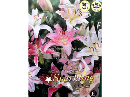 лилиуми Sparkling mix -  Liliums Sparkling mix