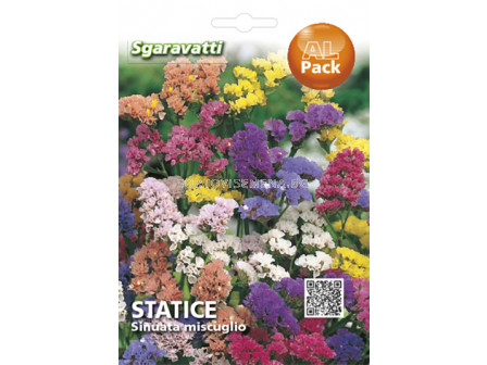 Семена Лимониум микс`SG - Limonium mix`SG 