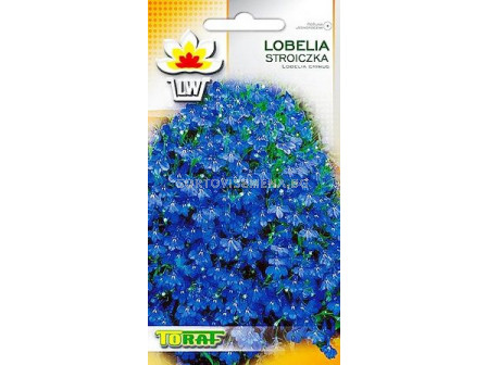 Семена Лобелия /Lobelia stroiczka/ - синя TF