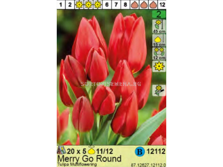 Лале/ Tulipa Merry Go Round - Пакет: 1 оп. - 5 бр.