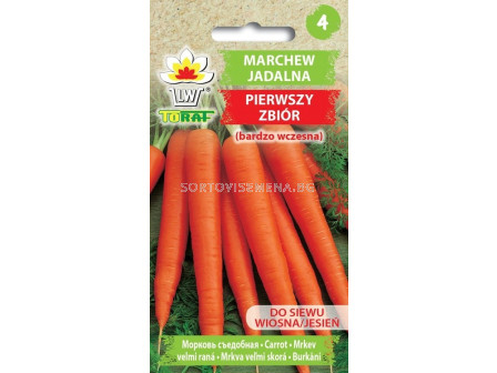 Моркови Първа реколта (много ранни) - Daucus carota - 5г