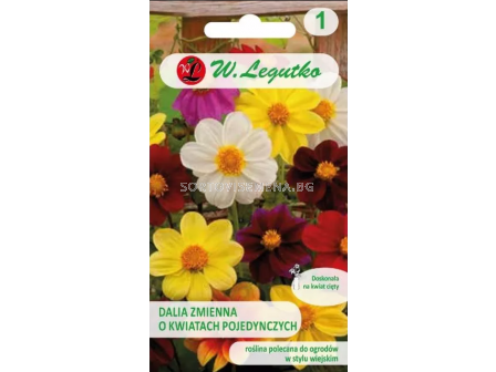 СЕМЕНА ДАЛИЯ НИСКА МИНЬОН МИКС Dahlia variabilis single fl. dwarf Mignonmixture -  ЛГ 