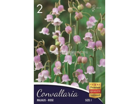 Момина сълза (Convallaria majalis) Розова 