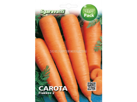 Семена моркови Flakkee 2`SG