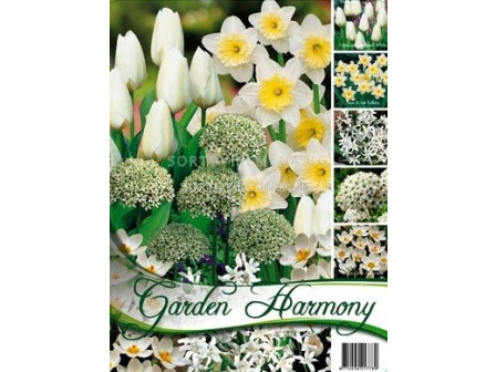 Колекция есенни луковици "White Garden" 50 бр