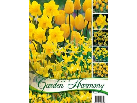 Колекция "Yellow Garden" 50 бр