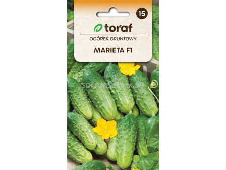 СЕМЕНА КОРНИШОНИ МАРИЕТА/ Ogorek Marieta F1 - 3 г- ТОРАФ