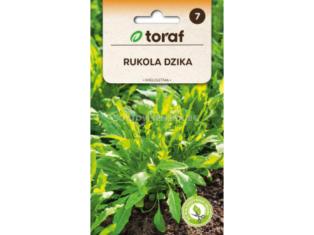 СЕМЕНА РУКОЛА ДИВА Rukola dzika | Diplotaxis tenuifolia - ТОРАФ - 1г