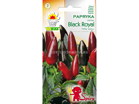 Семена Люти чушки Black Royal