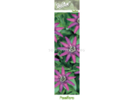 Пасифлора - Passiflora Pura Vida