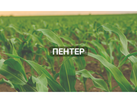 Пентер - 5 л