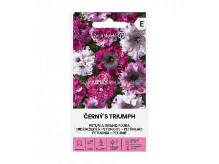 СК СЕМЕНА ПЕТУНИЯ ЧЕРНА PETUNIA GRANDIFLORA | CERNYSTRIUMPH
