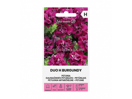 СК СЕМЕНА ПЕТУНИЯ КИЧЕСТА БУРГУНДИ ДУО Х PETUNIA DOUBLE DUO H BURGUNDY  