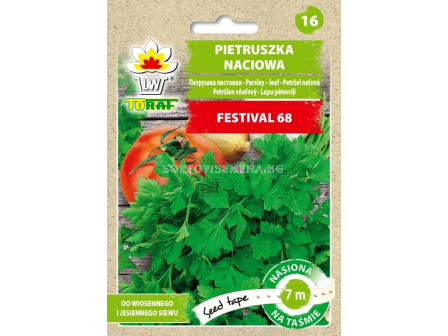 ТОРАФ МАГДАНОЗ ФЕСТИВАЛ 68 СЕМЕНА НА ЛЕНТА 7М Pietruszka naciowa Festival 68  