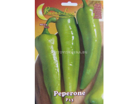 Семена пипер Р13 тип Сиврия - pepper Р13 typе Sivria