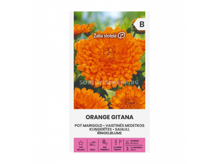 СК НЕВЕН ОРАНЖЕВ MARIGOLD, ORANGE GITANA