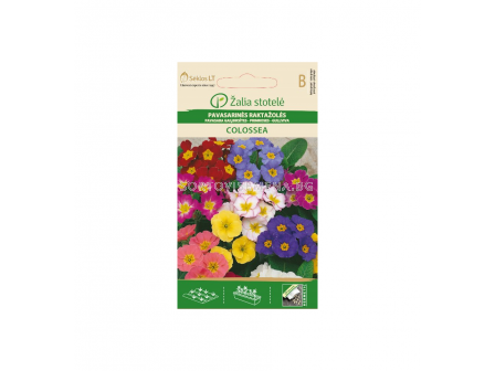 ИГЛИКА COWSLIP COLOSSEA - PRIMROSE-'SK- 50 семена