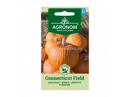 СК СЕМЕНА ТИКВА КЪНЕКТИКЪТ PUMPKIN, CONNECTICUT FIELD 