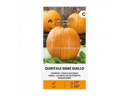 СК СЕМЕНА ТИКВА ЖЪЛТА PUMPKIN QUINTALE SEME GIALLO  