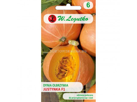 Тиква Justynka F1 - Pumpkin  (3.00+1.00g) - Legutko