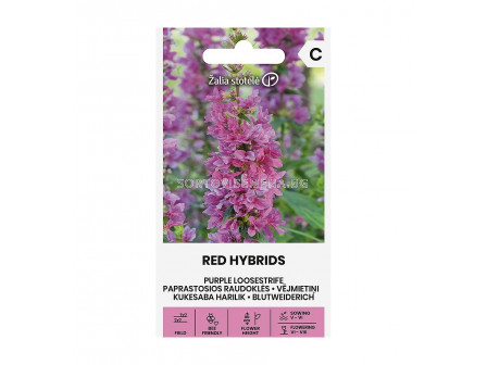 СЕМЕНА ЛИТРУМ ЧЕРВЕН  PURPLE LOOSESTRIFE  RED HYBRIDS - СК