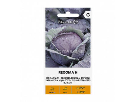 СК СЕМЕНА ЗЕЛЕ ЧЕРВЕНО РЕКСОМА Х RED CABBAGE REXOMA H