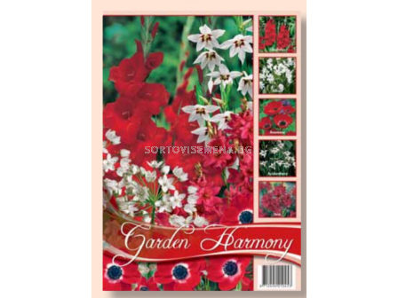Лятна колекция от луковици микс за градина в червено и бяло / Collection Flowerbulbs for Summergarden in red and white / 1 оп (75 бр )  	