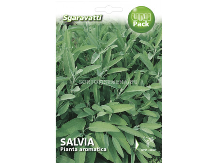 Семена Салвия`SG - Salvia`SG