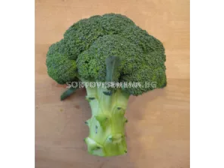 Семена броколи Зен F1 - broccoli Zen F1