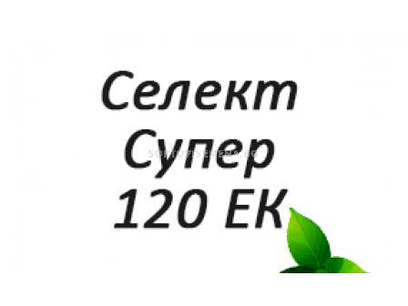 Селект Супер 120 ЕК