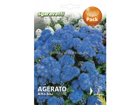 Агератум (Синьо пухче) семена - едроцветно (Агератум)`SG - Ageratum`SG