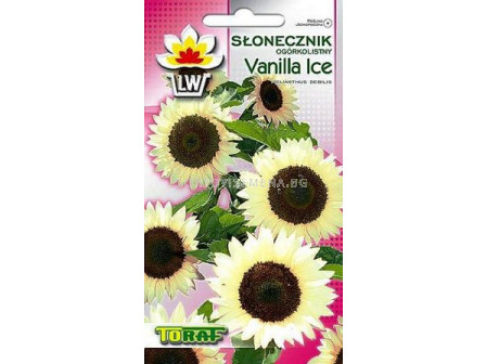 Семена декоративен слънчоглед - Vanilla Ice 