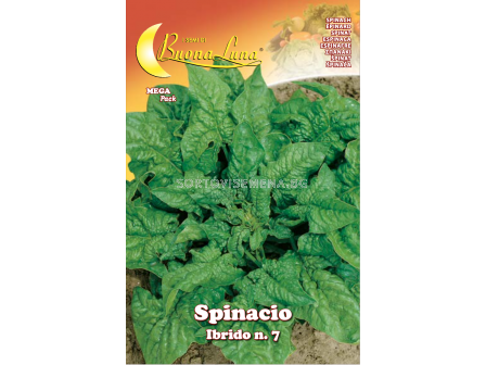 Семена Спанак SPINACIO IBRIDO N.7 MEGA PACK - BL
