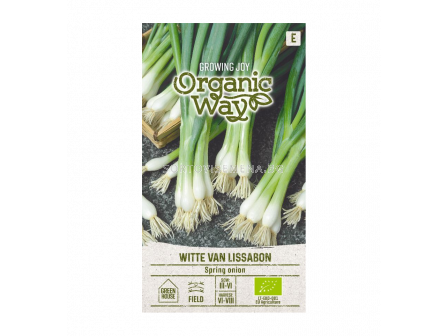 СК СЕМЕНА ЗЕЛЕН ЛУК БЯЛ ЛИСАБОН/ OW ONION SPRING WITTE VAN LISSABON SK