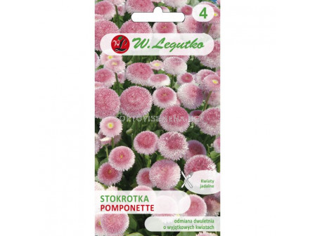 ЛГ ПАРИЧКИ ПОМПОНЕТ РОЗОВИ Bellis perennis Pomponette pink  