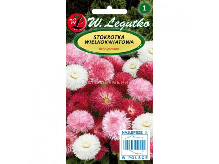 ЛГ МАРГАРИТКИ МИКС Bellis perennis large fl. mixture 