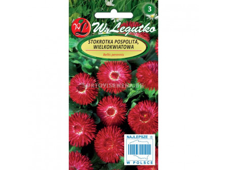 ЛГ МАРГАРИТКИ ЧЕРВЕНИ Bellis perennis large fl. Gracja red 